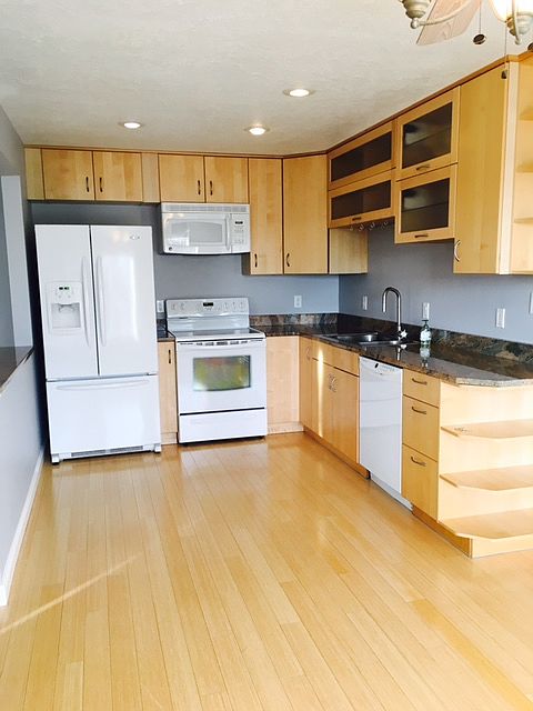 European Style Kitchen