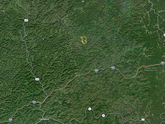 5th image of 8829 Clay Rd