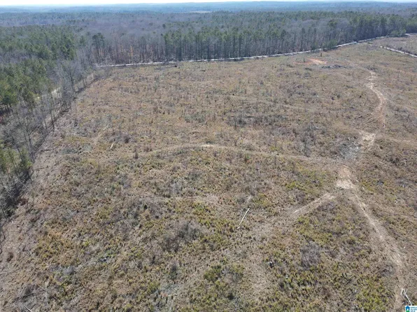 0 County Road 36, Randolph, AL 36792