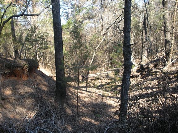 5th image of 899 County Road 3343
