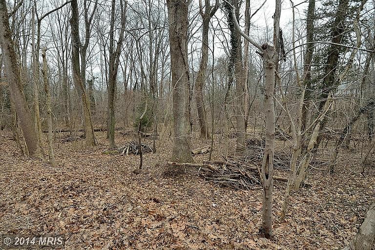 2nd image of 8108 Accotink Dr