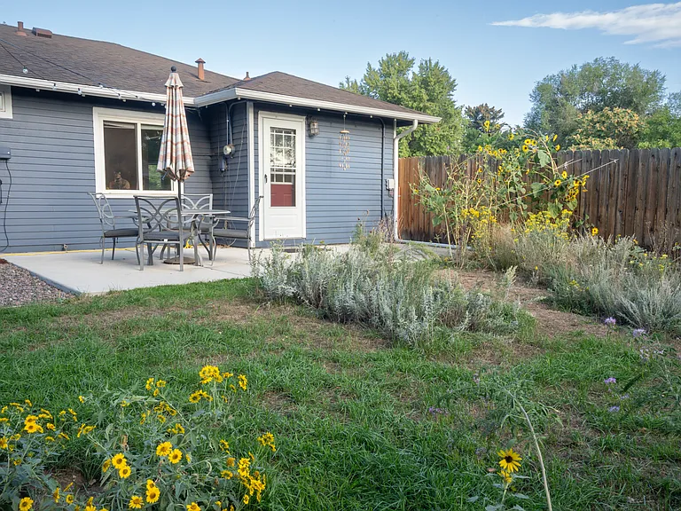 Backyard and patio