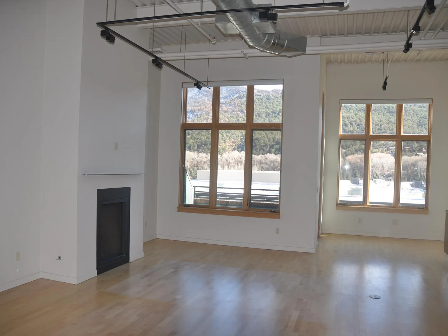 231 Robinson St — Photo 4