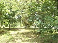 2nd image of 85074 Amanda Ct