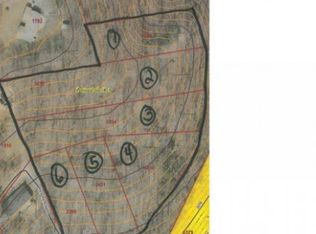 99999 Red Rd, Swannanoa, NC 28778