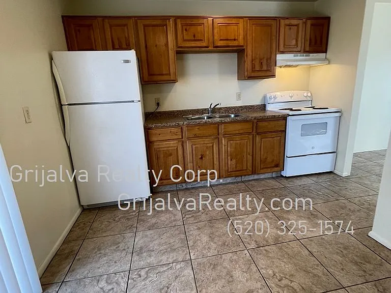 3801 Queen Palm Maintenance — Photo 6