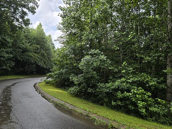 4th image of 0 Big Cedar Dr