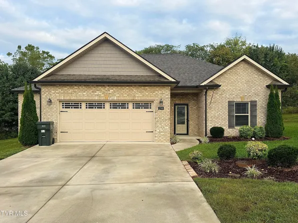 298 Ripple Fls, Gray, TN 37615