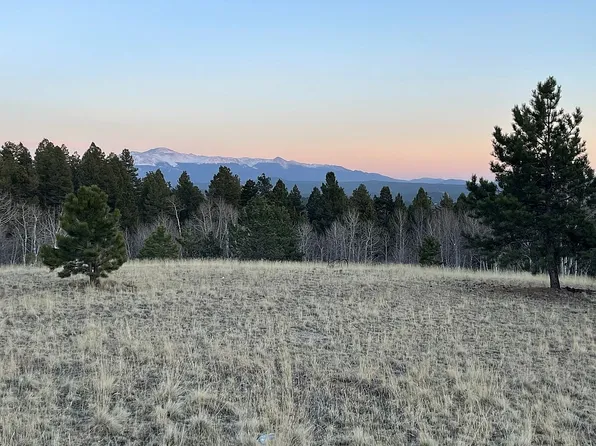932 Vagabond Creek Dr, Lake George, CO 80827
