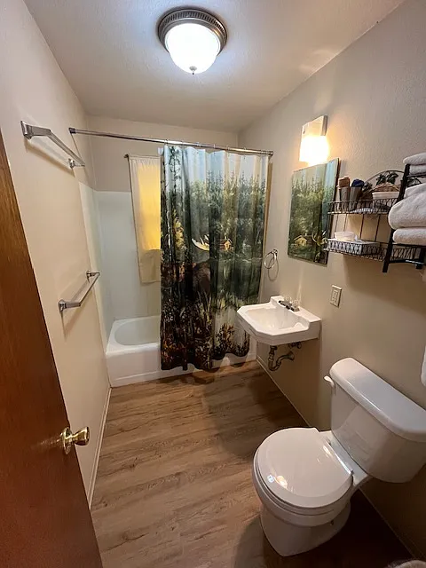 2 bed, $1,500 — Photo 4