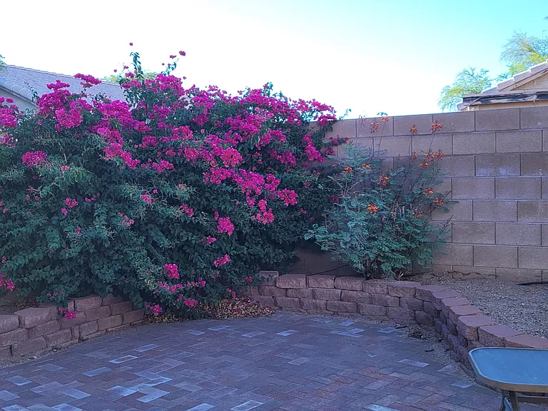 2645 W Cezanne Cir — Photo 16