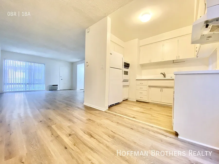 1142 N Clark St #308