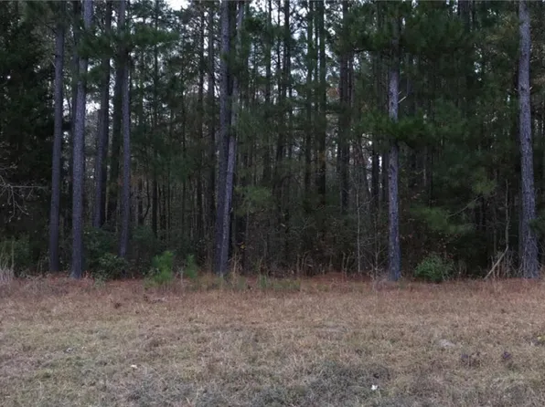 0 Hwy 221, Dearing, GA