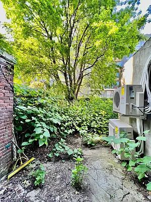 Rented by Hagstrom Management Inc | media 11