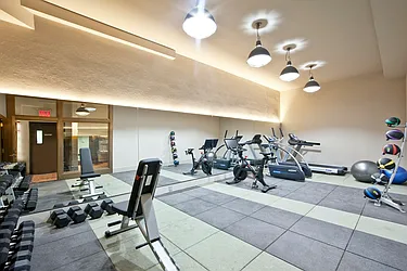 Rented by Bold New York