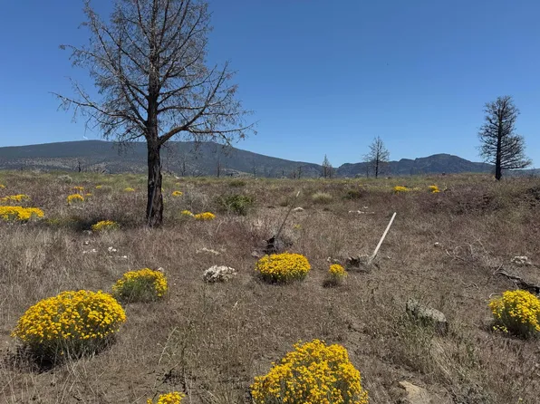 LOT 5 Roland Dr, Montague, CA 96064