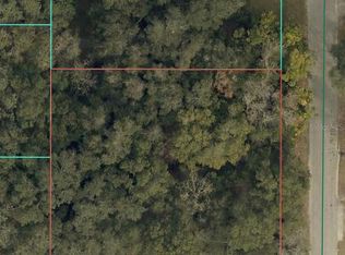 SE 94th Ct LOT 32, Summerfield, FL 34491