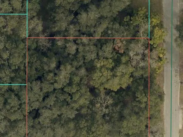 SE 94th Ct Lot 32, Summerfield, FL 34491
