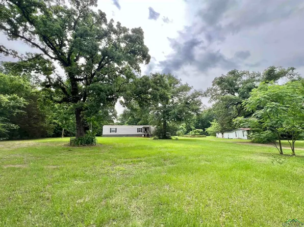 95 Montgomery St, Avinger, TX 75630