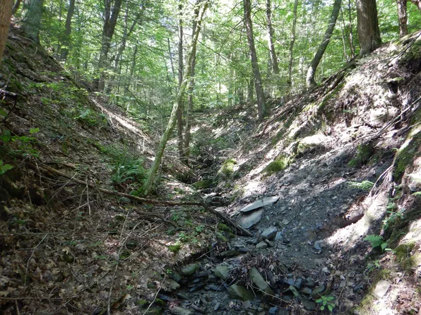 Starks Rd, Newfield, NY 14867