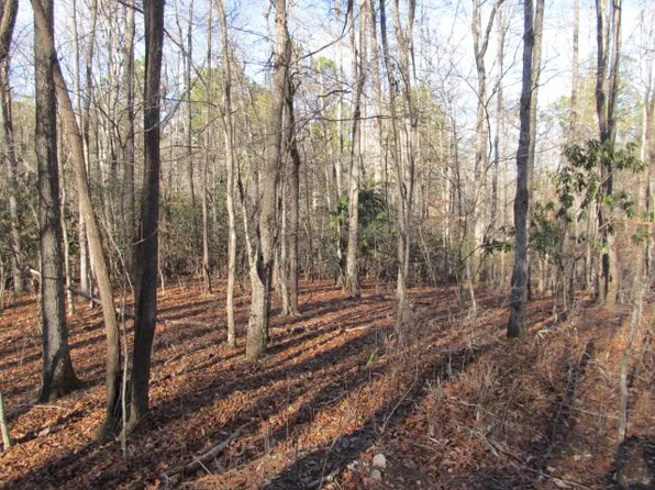 0 Shady Ln, Franklin, NC 28734