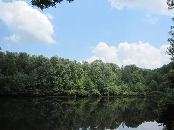 245 Dogwood Dr, Buchanan, GA 30113