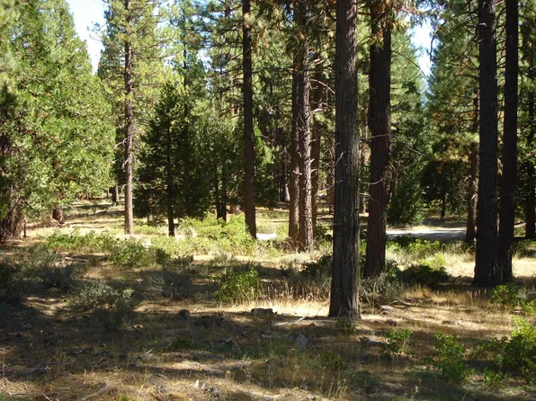 455 C Rd, Clio, CA 96106