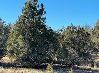 32112 W Ancho Rd, Seligman, AZ 86337