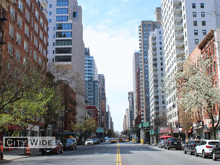 1867 2nd Ave #3C — Photo 5