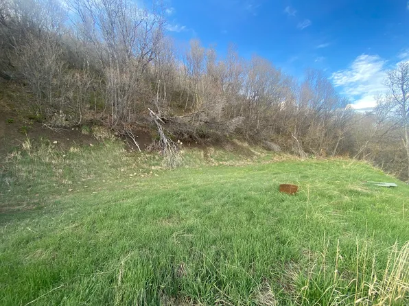 108 Whittemore Dr, Springville, UT 84663