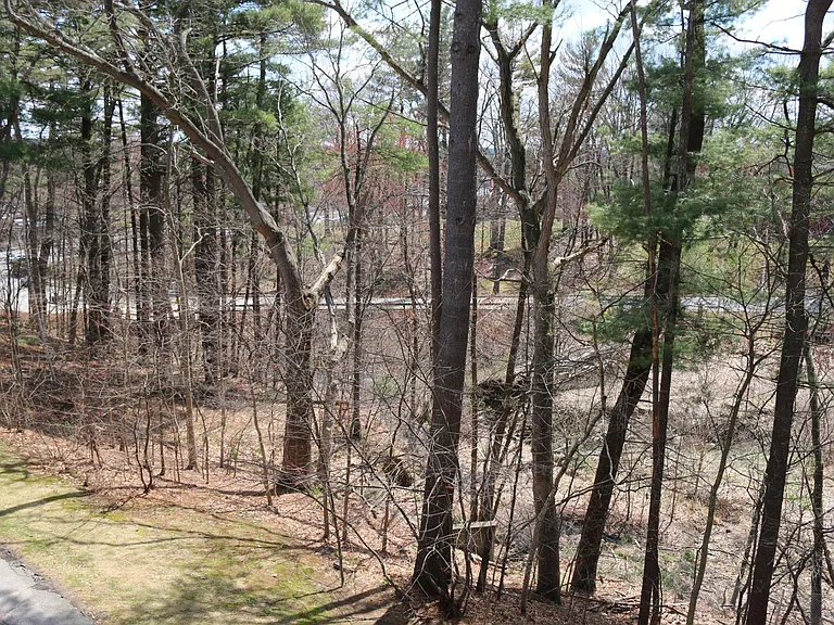 Beautiful, calm wooded view from deck