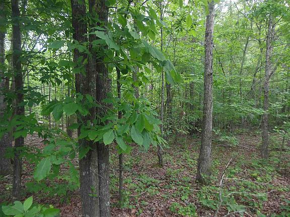 5th image of 24 Maple Springs Ln Lot 24