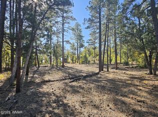 3251 W Sage Ln, Show Low, AZ 85901