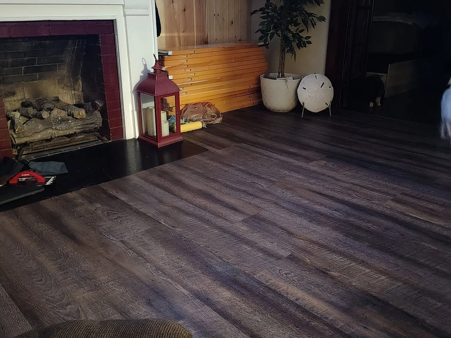 695 Race Street — Photo 4