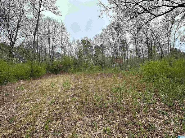 Highway 91 None, Hanceville, AL 35077