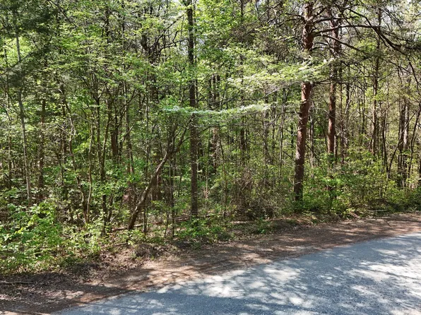 0 N Holcomb Dr, Martin, GA 30557