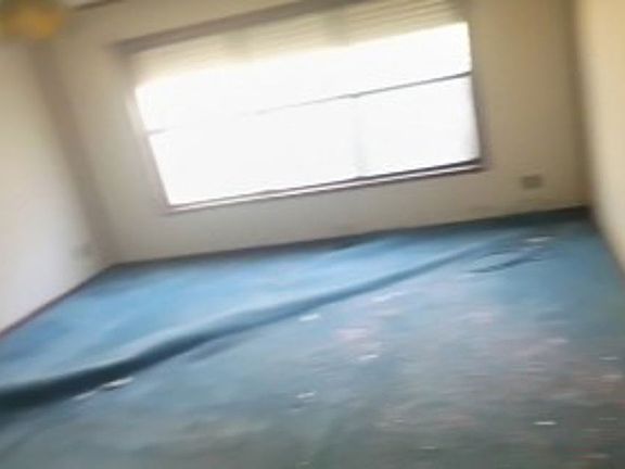 4th image of 1702 Timrod St