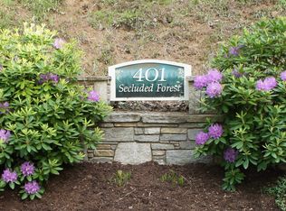 401 Secluded Forest Drive, Asheville, NC 28804