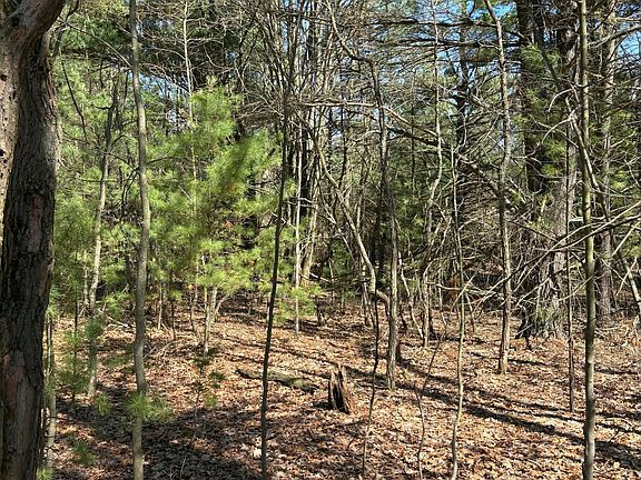5th image of Fenner Rd
