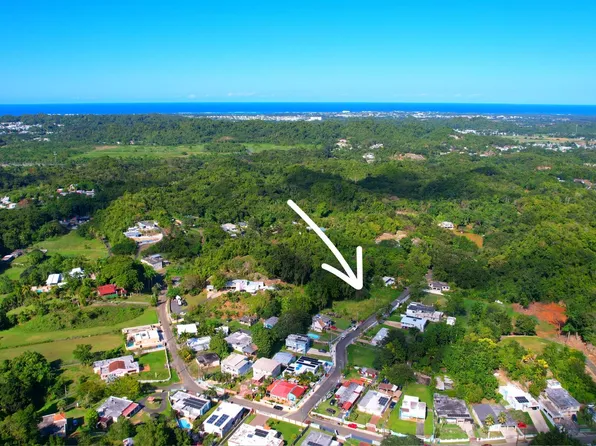 659 Int, Dorado, PR 00646