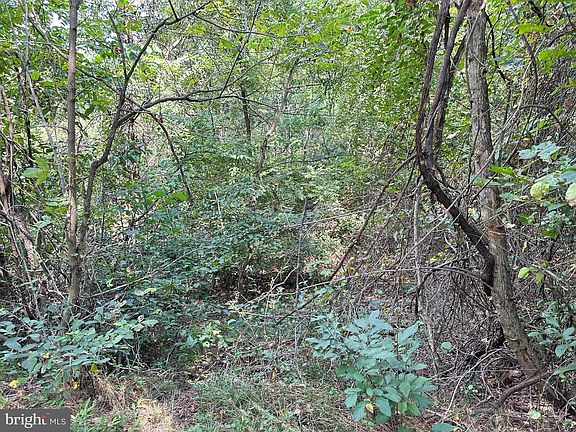 4th image of Campbell Hill Rd