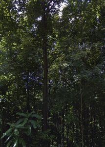 948 Normandy Rd, Normandy, TN, 37360