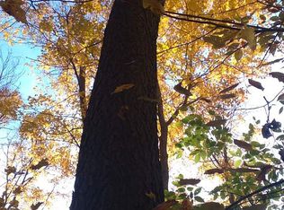 N Canal Rd, Dimondale, MI 48821