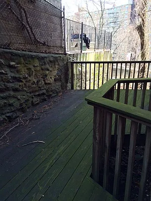 Rented by Real Broker NY LLC | media 55