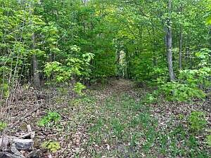 1st image of 8657 W Black Ln