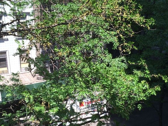 2nd image of 6 W 95th St APT 3F