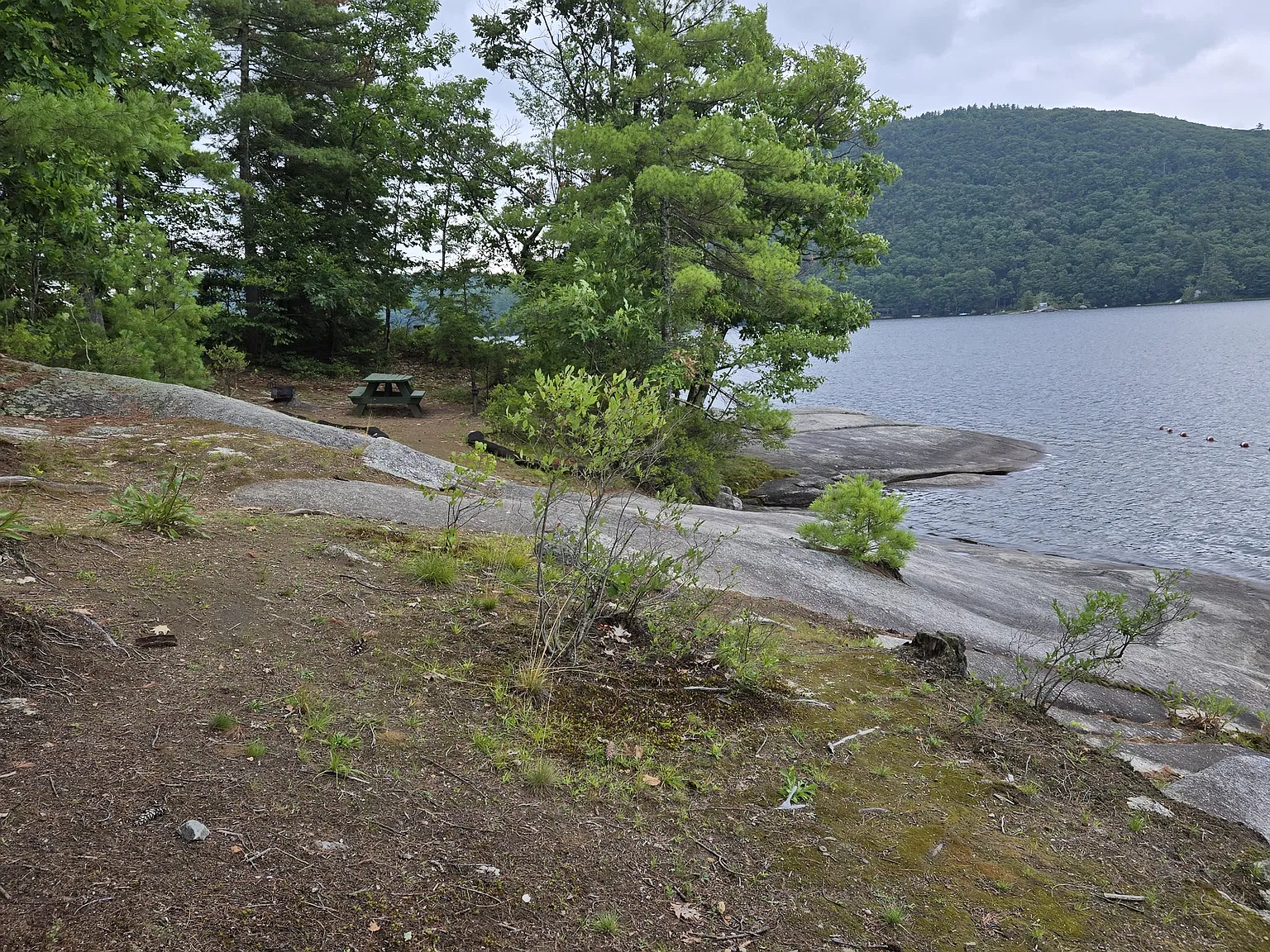 2 bed, 1300 sqft, $2,500 — Photo 3