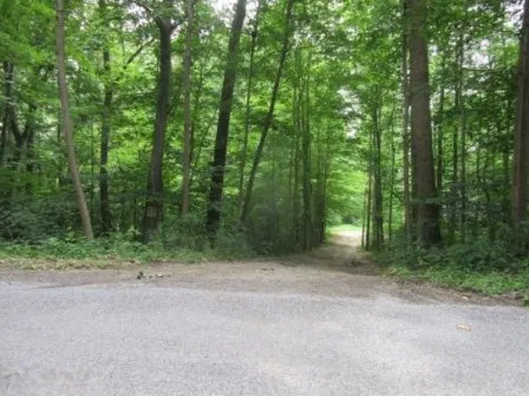 5753 Jackson St, Coloma, MI 49038