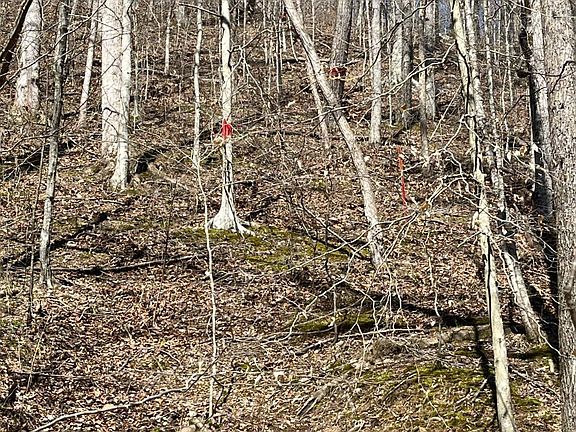 3rd image of 0 Neat Rd