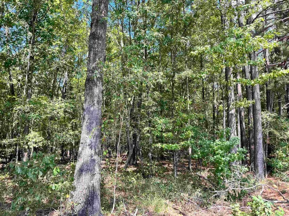 1209 Pine Dr, Benton, AR 72015